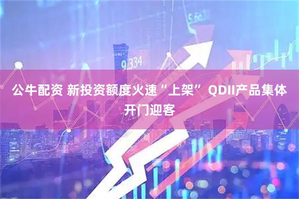 公牛配资 新投资额度火速“上架” QDII产品集体开门迎客